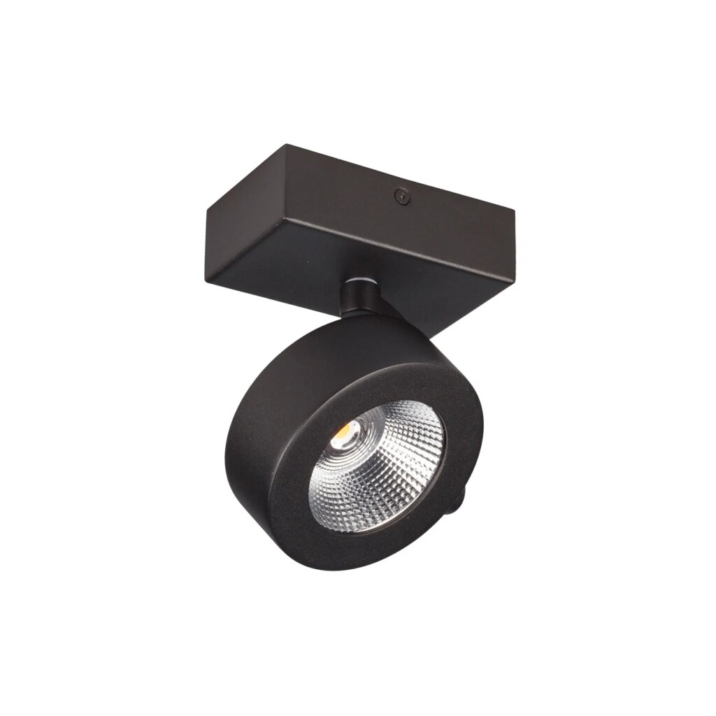 Opbouwspot 1x 10w 2700K CRI95+ 250mA zwart