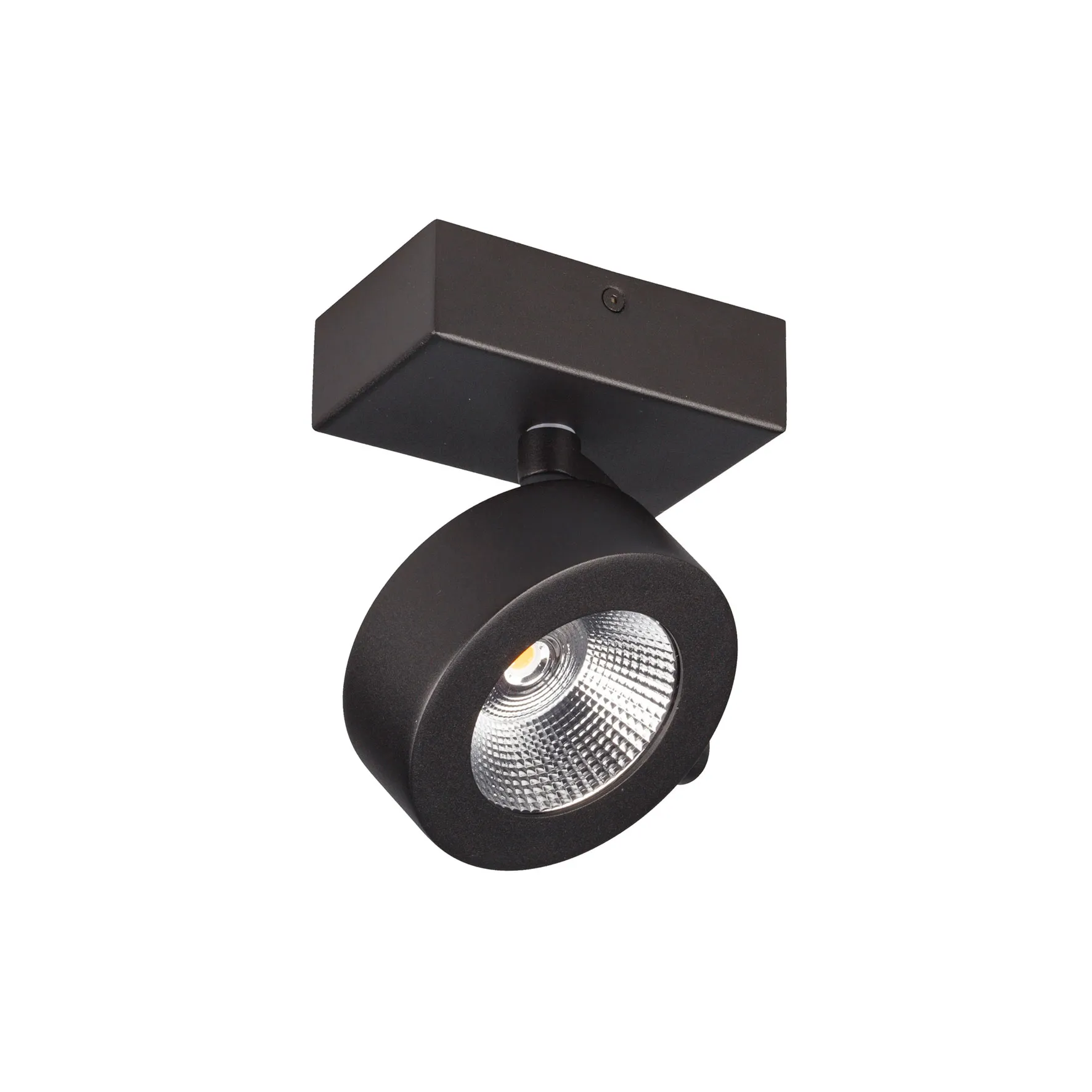 Opbouwspot 1x 10w 2700K CRI95+ 250mA zwart