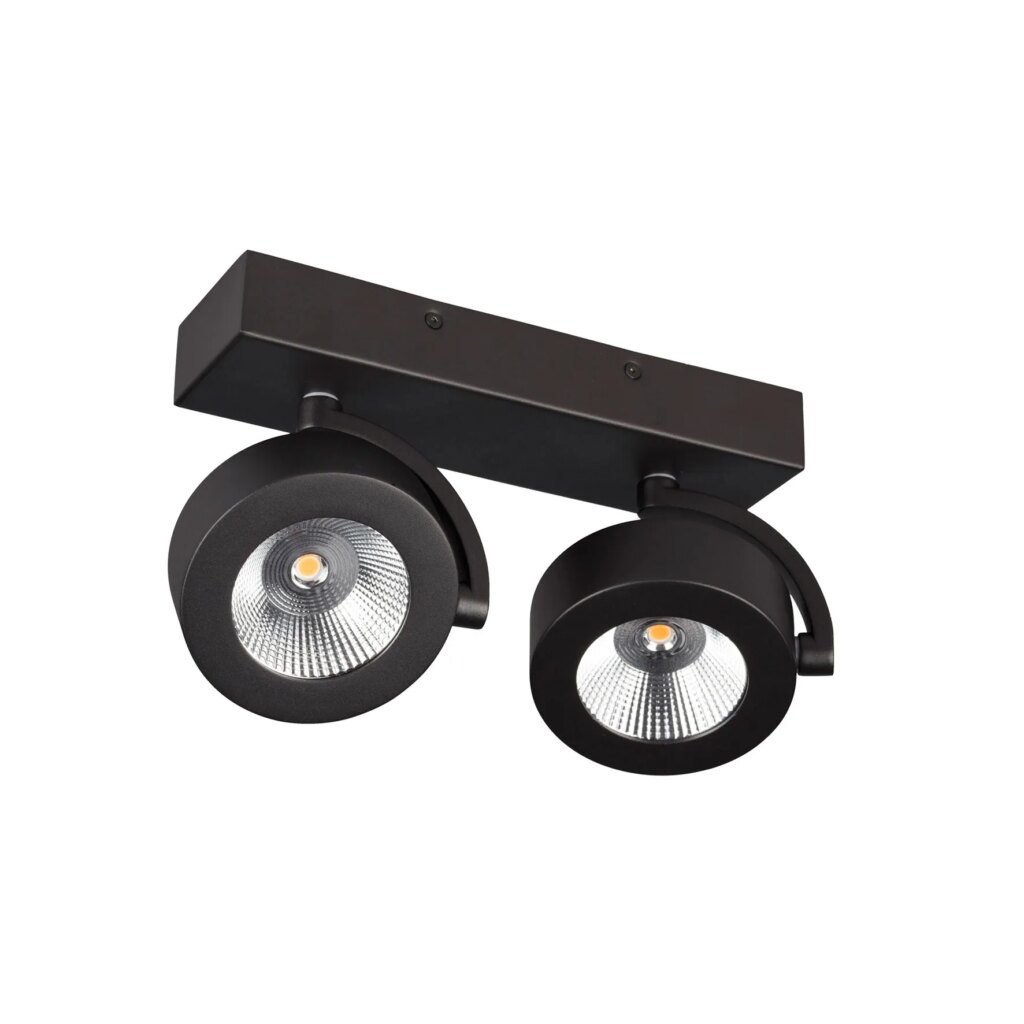 Opbouwspot 2x 10w 2700K CRI95+ 250mA zwart